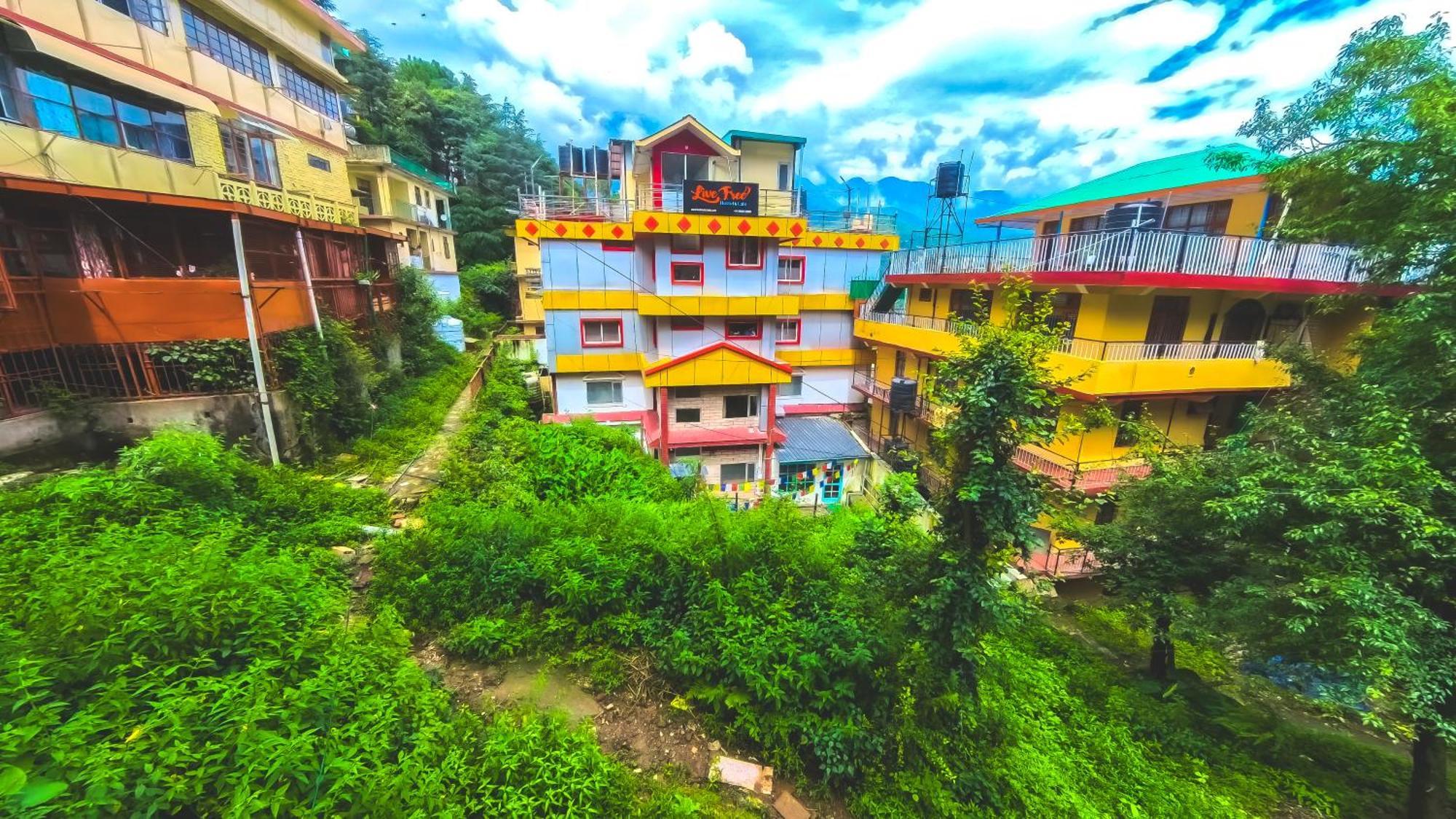 Live Free Hostel, Mcleodganj McLeod Ganj Exterior photo